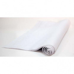 CANSON Rouleau de papier de...