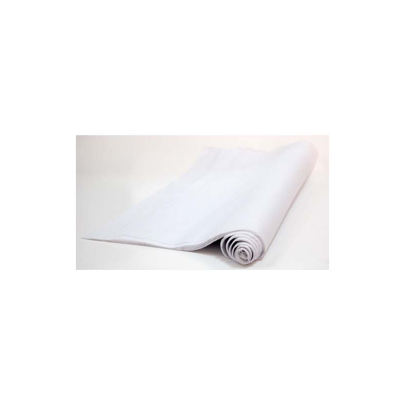 CANSON Rouleau de papier de soie 0,5x5M Blanc