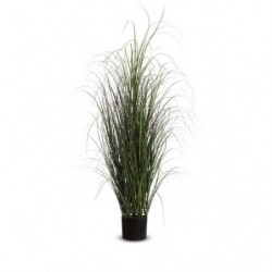 PAPERFLOW Plante...