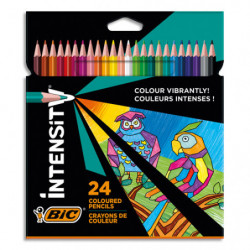 BIC Intensity Crayon de...