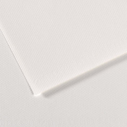 CANSON Feuille MI-TEINTES®...