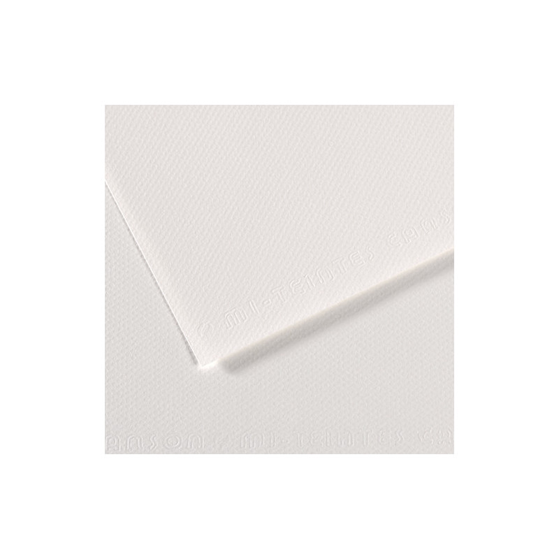 CANSON Feuille MI-TEINTES® 50X65 160g blanc 335