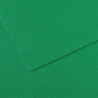 CANSON Feuille MI-TEINTES® 50X65 160g vert billard 575