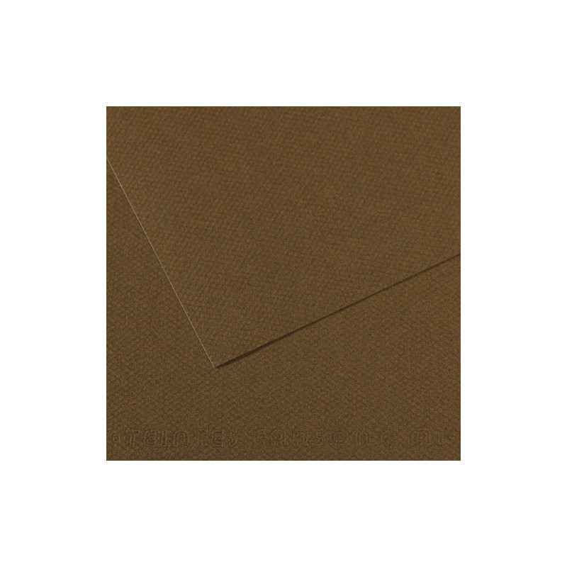 CANSON Feuille MI-TEINTES® 50X65 160g marron foncé 501