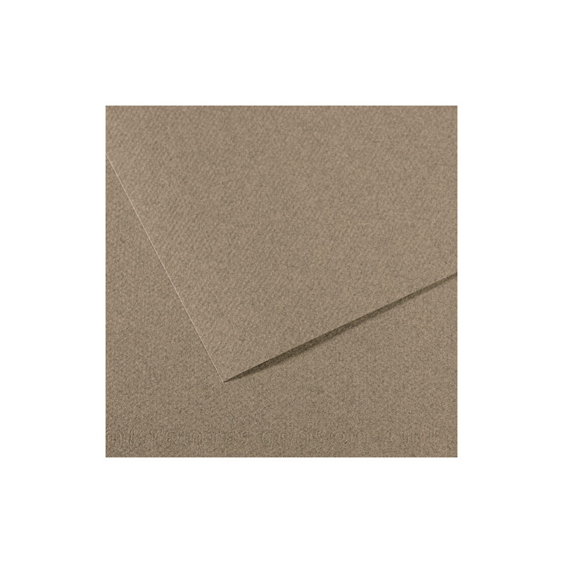 CANSON Feuille MI-TEINTES® 50X65 160g gris chiné 431
