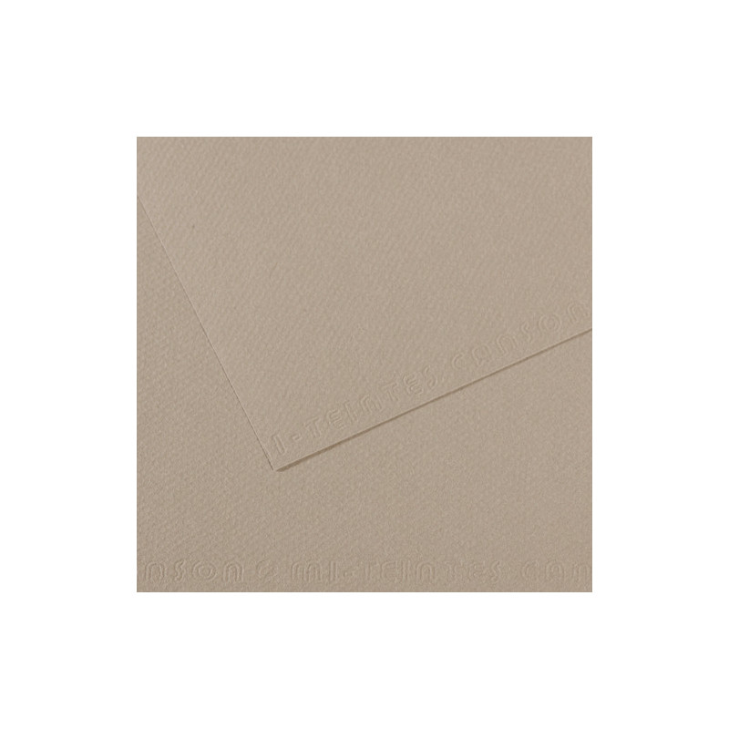 CANSON Feuille MI-TEINTES® 50X65 160g gris flanelle 122