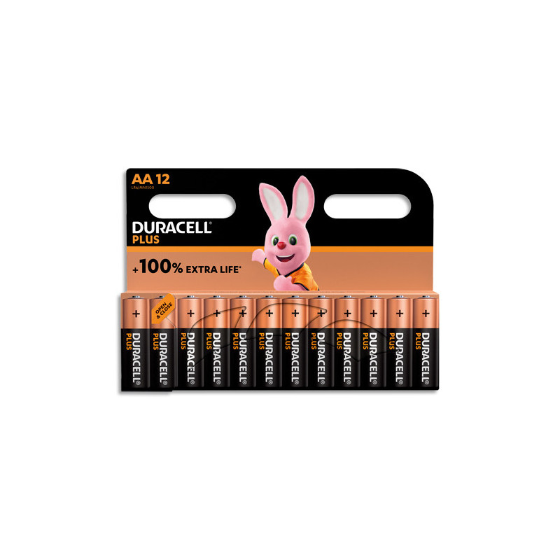 DURACELL Piles alcalines AA Plus 100%, 1,5V LR6 MN1500, lot de 12 piles