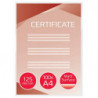GBC Paquet de 100 Pochettes de plastification GBC mates A4, 2 x 125 microns 3747241