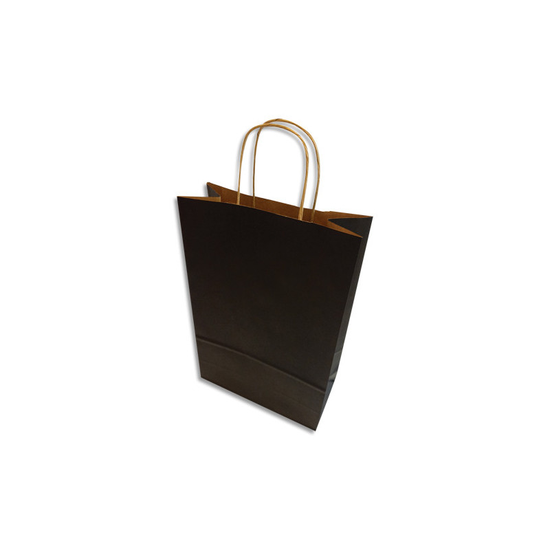 BONG Boîte 250 sacs poignées torsadées kraft naturel 100%, format 18,4 x 24 x 8 cm, Couleur Noir