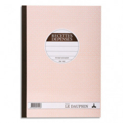 LE DAUPHIN Carnet recette/dépense 21x29,7cm autocopiant texté 50 feuillets numérotés dupli