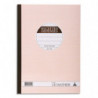 LE DAUPHIN Carnet recette/dépense 21x29,7cm autocopiant texté 50 feuillets numérotés dupli