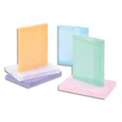 VIQUEL Boîte de classement personnalisable PROPYSOFT dos 3cm, en PP 6/10e. Coloris translucides assortis