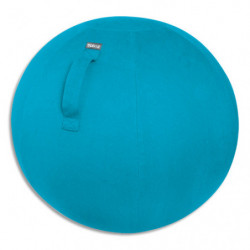 LEITZ Cosy Ballon d'assise ergonomique, bleu, 52790061
