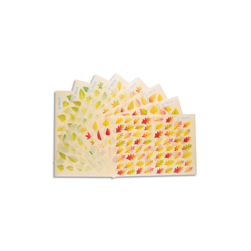 CLEOPATRE Pochette de 8 planches de gommettes feuilles des arbres : 4 types de feuilles, deux saisons.