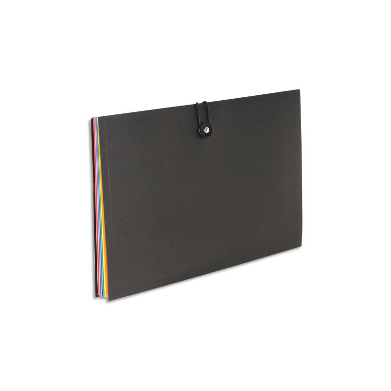 VIQUEL Trieur horizontal RAINBOW 8 compartiments en polypro 8/10, Noir intérieur multicolore
