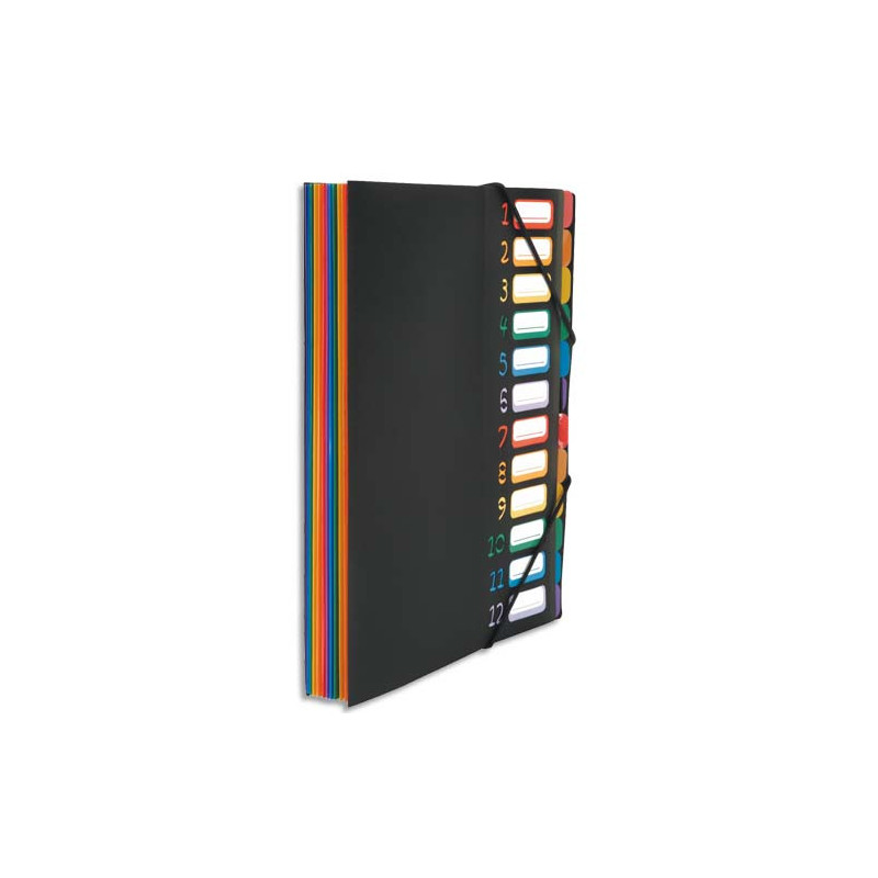 VIQUEL Trieur vertical RAINBOW 12 compartiments à soufflet en polypro 5/10, Noir intérieur multicolore