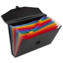 VIQUEL Trieur malette RAINBOW CLASS 13 compartiments, polypro 10/10e, Noir intérieur multicolore