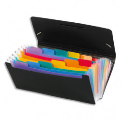 VIQUEL Trieur chèque RAINBOW 12 compartimenents en polypro 7/10, Noir intérieur multicolore, 26x13cm