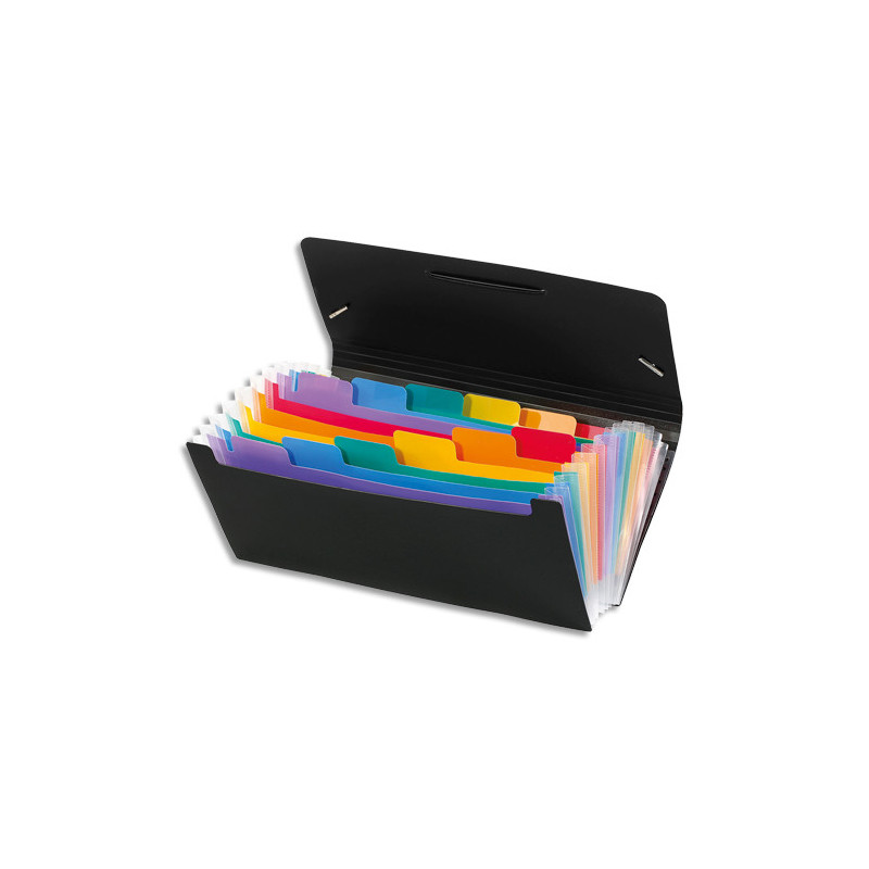 VIQUEL Trieur chèque RAINBOW 12 compartimenents en polypro 7/10, Noir intérieur multicolore, 26x13cm