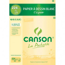 CANSON Pochette de 10...