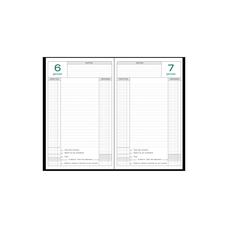 EXACOMPTA Agenda Perpétuel recettes/dépenses,Janvier à Décembre 2025 - format 15 x 21 cm couverture Noire