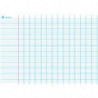 ART PLUS Carte grand Seyès avec marge en Polypro 5/10è, effaçable à sec - format 140 x 100 cm