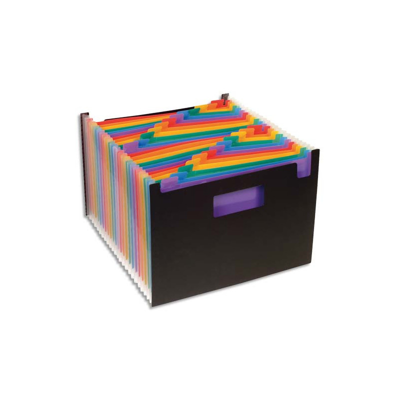 VIQUEL Trieur Seatcase Rainbow 24 compartiments, en polypro 7/10e, 2 poignées, Noir intérieur multicolore