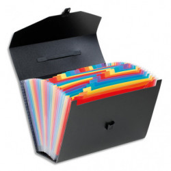 VIQUEL Trieur malette Rainbow 26 compartiments, polypro 10/10e, Noir intérieur multicolore