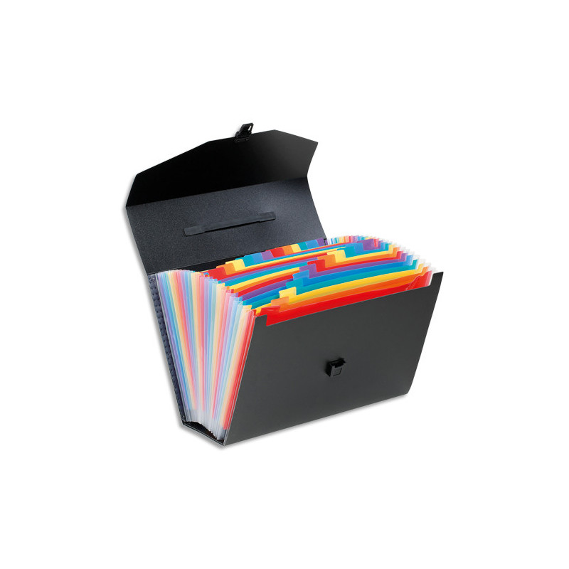 VIQUEL Trieur malette Rainbow 26 compartiments, polypro 10/10e, Noir intérieur multicolore