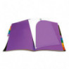 VIQUEL Protège-documents RAINBOW 12 onglets couleur. Format A4, coloris Noir