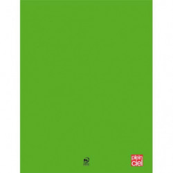 PLEIN CIEL Cahier piqûre 21x29,7cm 96 pages grands carreaux Seyès 90g. Couverture polypro Vert