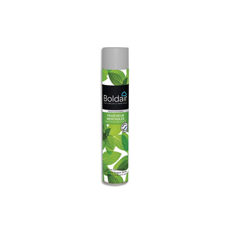 BOLDAIR Désodorisant d'atmosphère 500 ml parfum Fraîcheur mentholée Professional