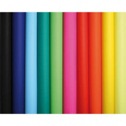 CLAIREFONTAINE Rouleau de 10 feuilles affiche couleur 75g 60x80 cm couleurs assorties