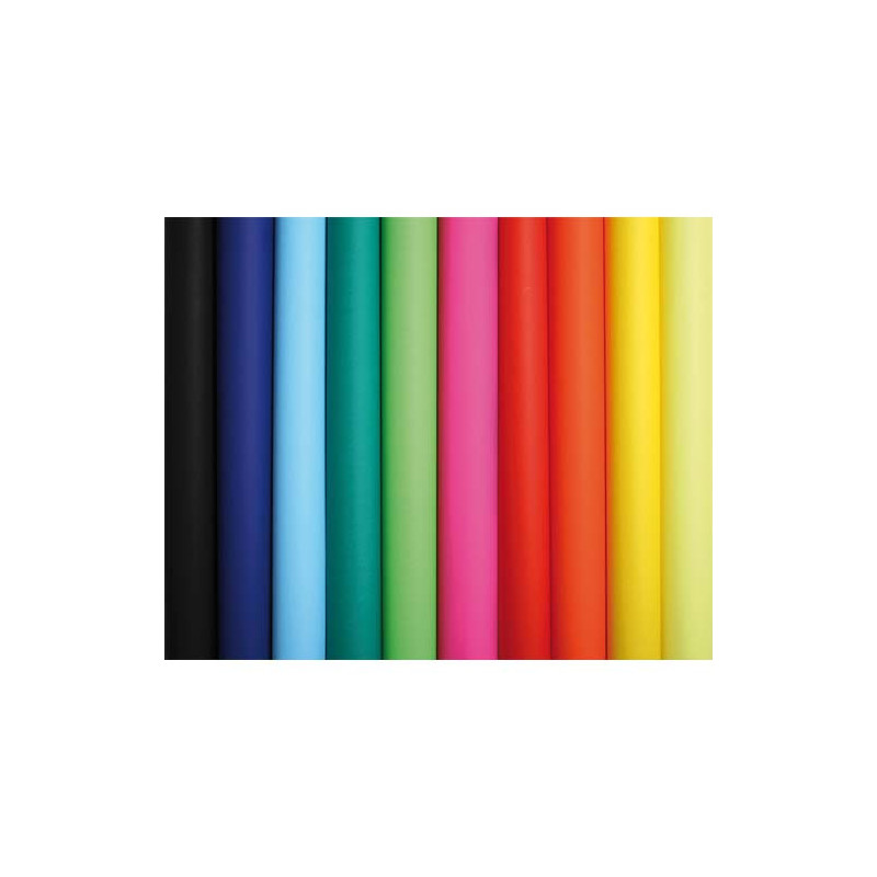 CLAIREFONTAINE Rouleau de 10 feuilles affiche couleur 75g 60x80 cm couleurs assorties