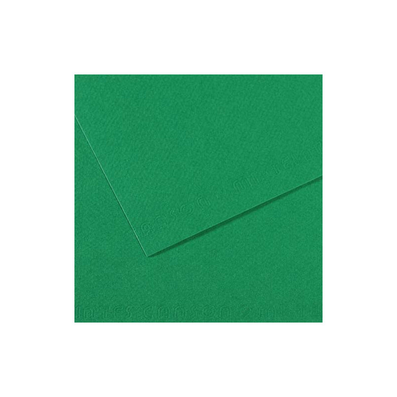 CLAIREFONTAINE Paquet de 25 feuilles Affiche couleur 75g 60x80 cm Vert