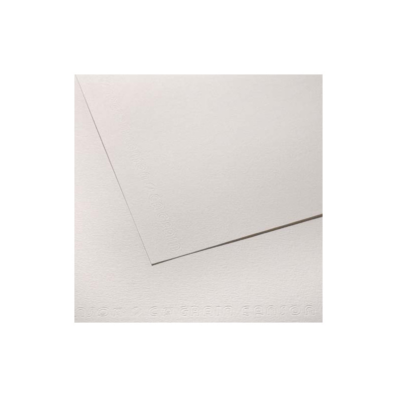 CLAIREFONTAINE Paquet de 25 feuilles Affiche couleur 75g 60x80 cm Blanc