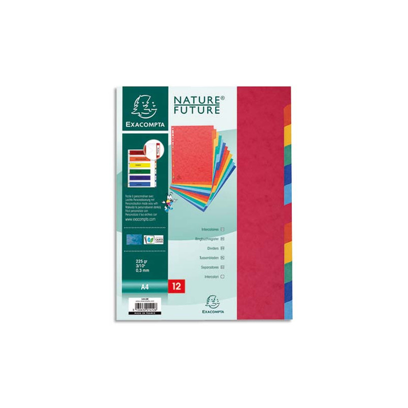 EXACOMPTA Jeu d'intercalaires 12 positions en carte lustrée 5/10e format A4 400g