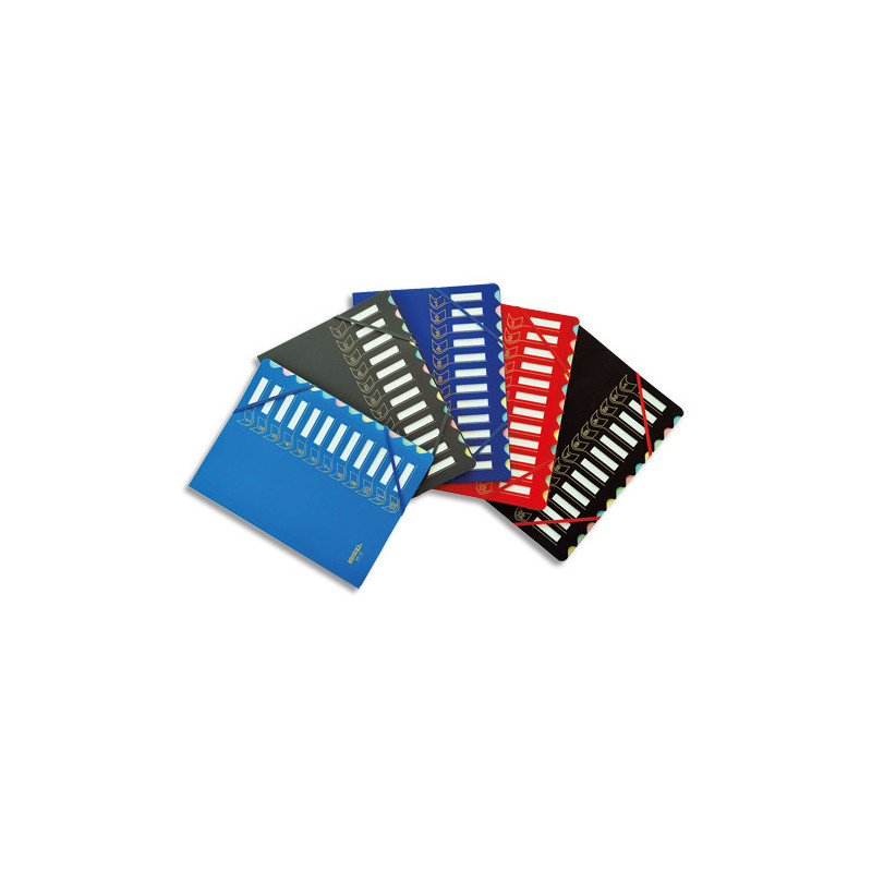 EXTENDOS Trieur couverture en polypropylène et carte 12 compartiments assortis
