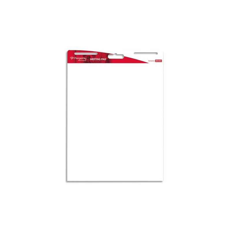 PERGAMY Lot de 2 blocs de 30 feuilles Meeting notes repositionnables, dos adhésif - L63.5 x H79.2 cm