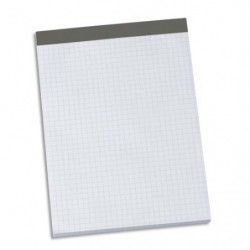 Bloc sans couverture 21 x 29,7 cm A4. 200 pages détachables 56g quadrillées 5x5. Agrafé en-tête