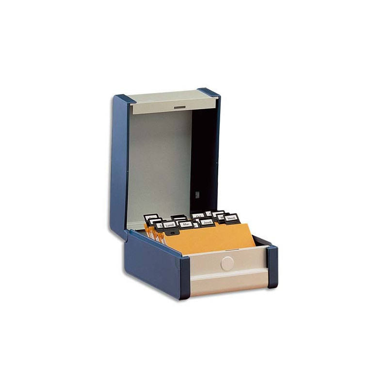 REXEL Boîte à fiches Provence format A6 en hauteur H148 x P105 mm Gris, livré avec séparateur métallique