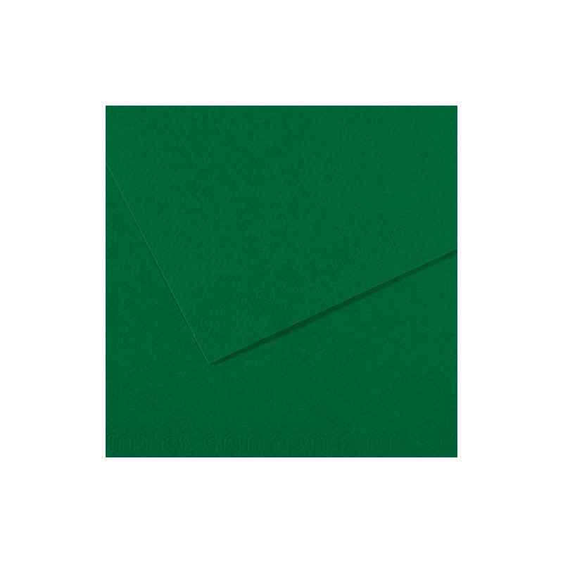 FABRIANO Feuille dessin couleur 50 x 65 cm Tiziano 160g Vert foncé