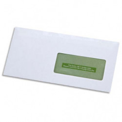 GPV Boîte de 500 enveloppes recyclées extra Blanches Erapure, format DL 110x220mm fenêtre 45x100mm 80g