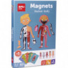 APLI KIDS Boîte de 63 magnets pour apprendre le corps humain