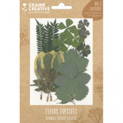 GRAINE CREATIVE Sachet de 21 feuilles séchées FOREST pour la création de bougies, objets en bois, bijoux