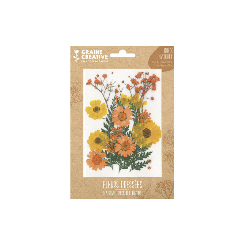 GRAINE CREATIVE Sachet de 18 fleurs séchées PRAIRIE JAUNE pour la création de bougies, objets en bois...