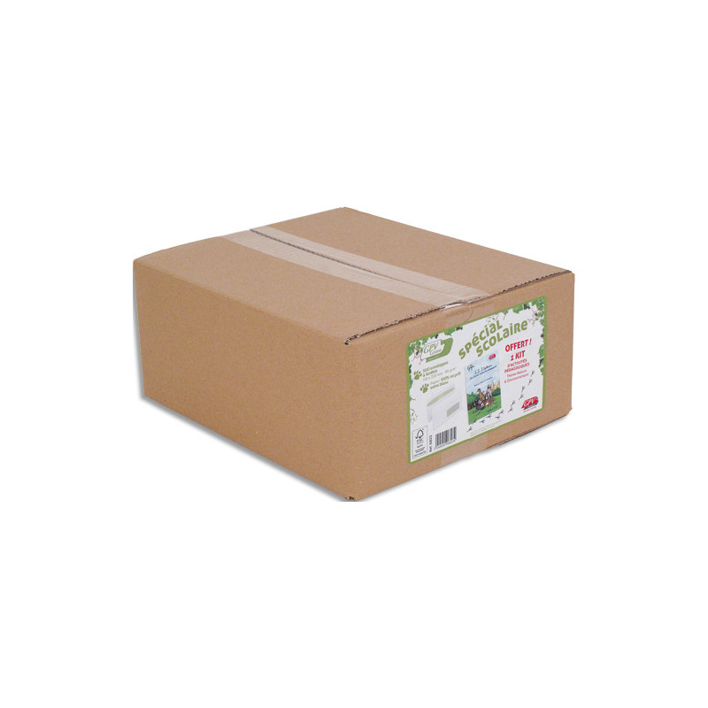 GPV Boîte de 500 enveloppes blanches recyclées 100% DL 110x220 80 g/m² fenêtre bande de protec Kit Epopia