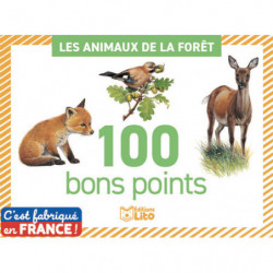LITO DIFFUSION Boîte de 100...