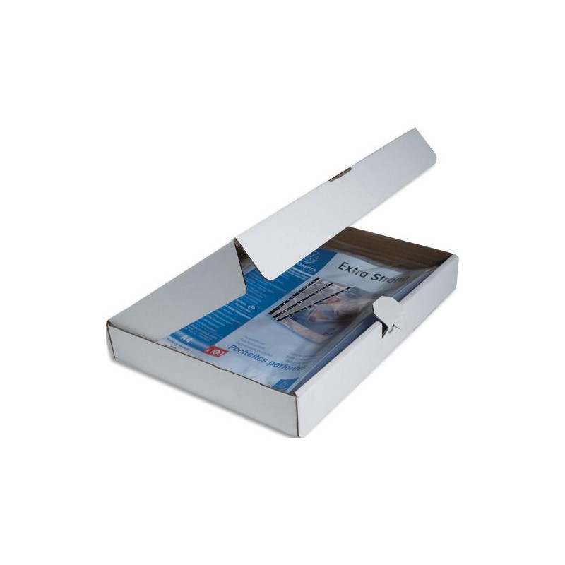 EXACOMPTA Boîte de 100 pochettes perforées A4 en polypropylène lisse 9/100e cristal