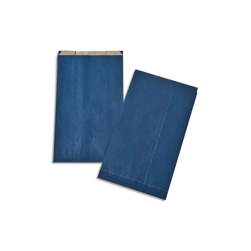 GPV Bo&icirc;te de 250 Sachets Soufflet 160X270 Bleu